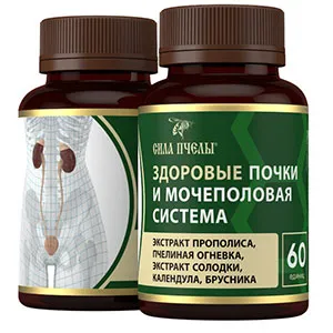 sila-pcheli-cystitis